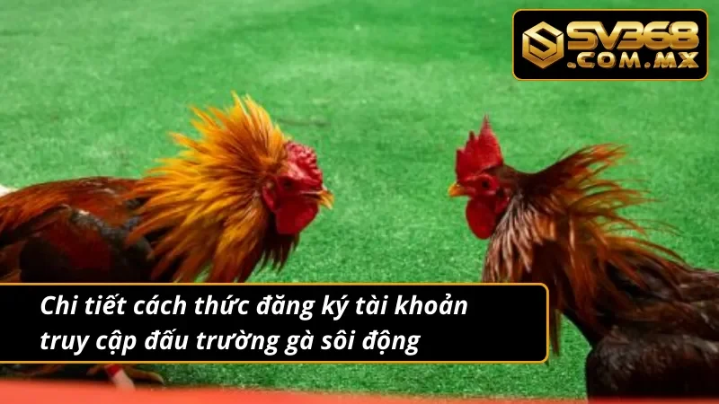 Đá Gà Campuchia SV368 - Trải Nghiệm Kịch Tính Hàng Đầu 2025 4 Chi tiết cách thức đăng ký tài khoản truy cập đá gà Campuchia