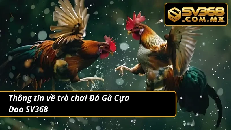 Đá Gà Cựa Dao SV368 - Sảnh Đá Gà Uy Tín Nhất Hiện Nay 2 Thông tin về trò chơi đá gà cựa dao