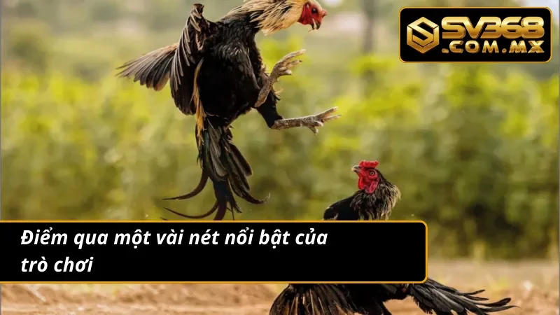Đá Gà Cựa Dao SV368 - Sảnh Đá Gà Uy Tín Nhất Hiện Nay 3 Điểm qua một vài nét nổi bật trong trò chơi đá gà cựa dao