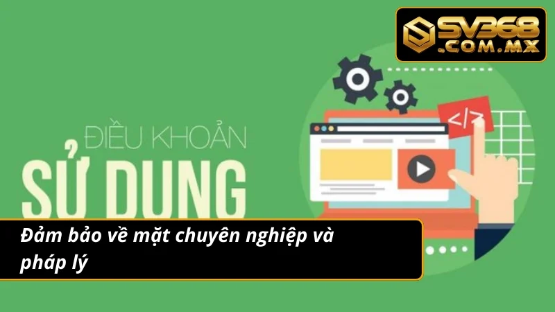 Điều Khoản Và Điều Kiện SV368 - Nâng Cao Trải Nghiệm An Toàn 3 Điều khoản và điều kiện về tính chuyên nghiệp và pháp lý